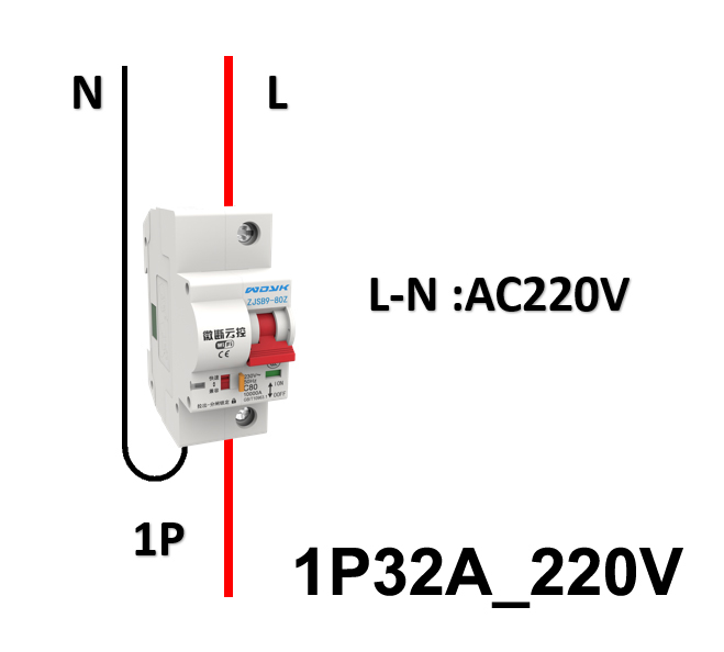 1P32A220V