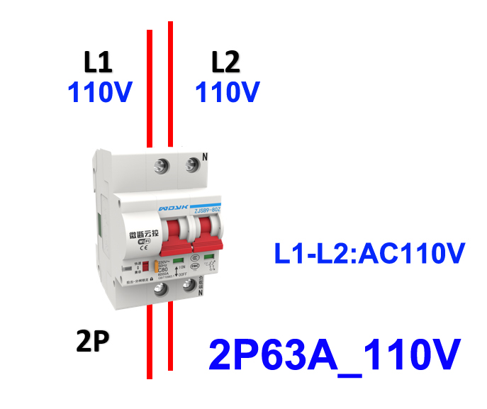 2P63A110V