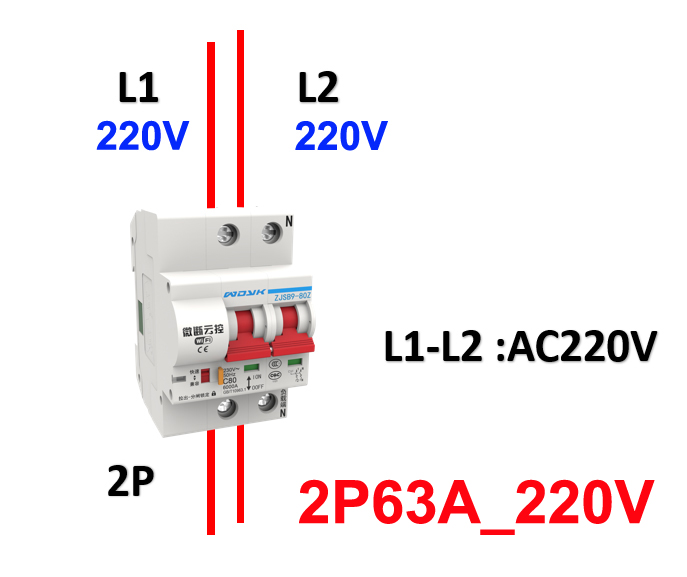 2P63A220V