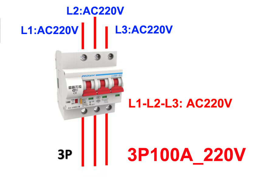 3P100A220V